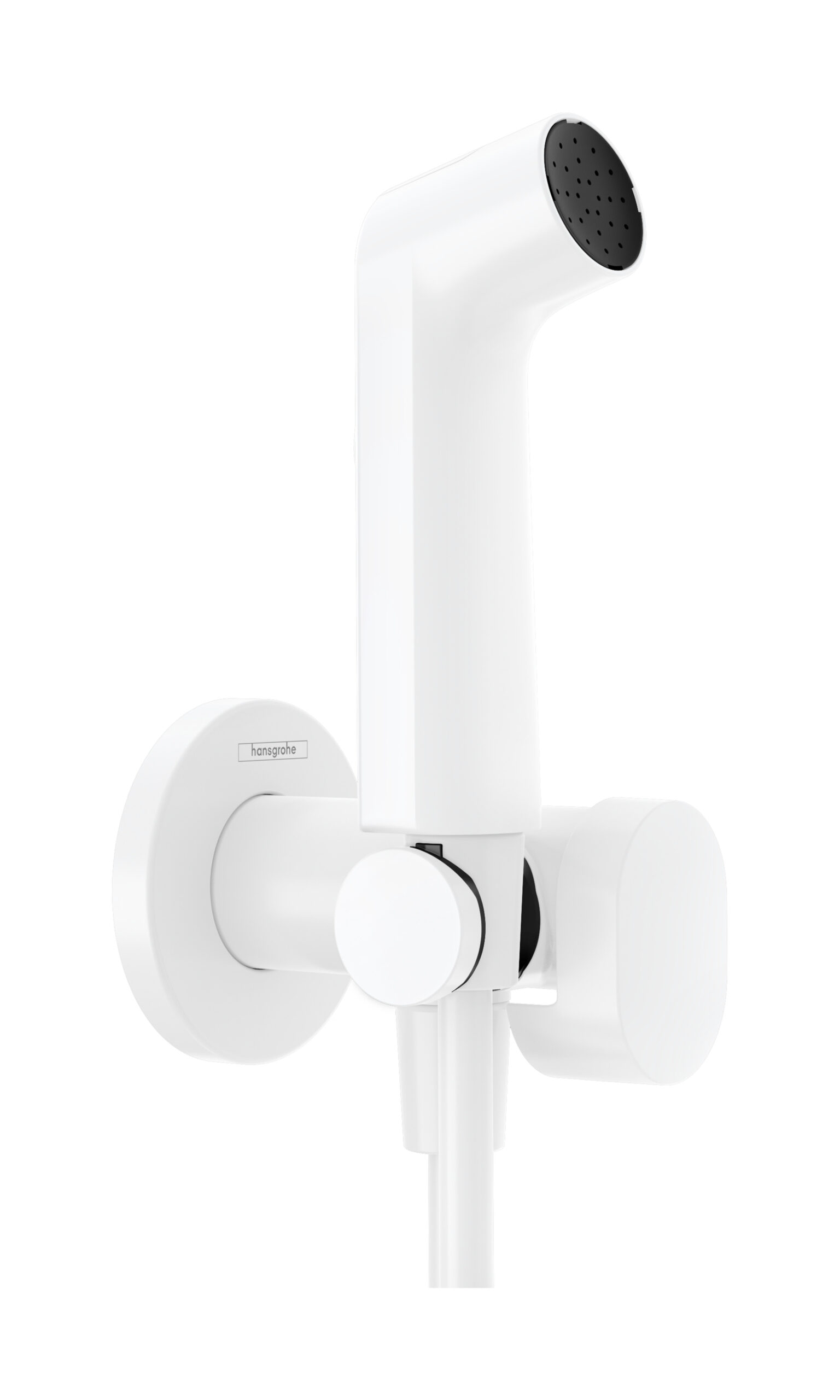Hansgrohe bidethanddouche 1jet EcoSmart voor warm water met douchehouder en doucheslang 125 cm, mat wit