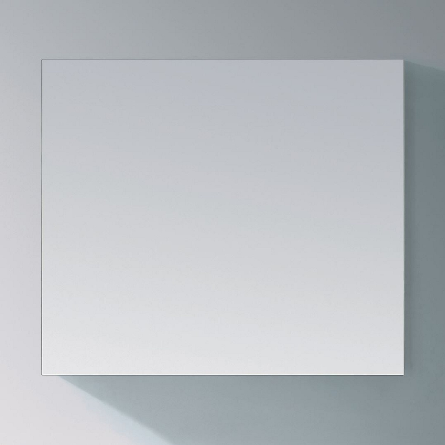 Basis Spiegel Sanitop Aluminium Geborsteld (In 9 maten)
