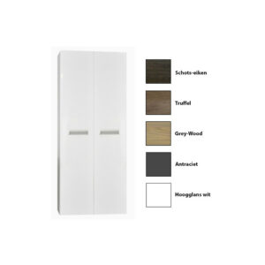 Kolomkast Sanicare Q2/Q3/Q8 2-Deurs Soft-Closing 160x67x32 cm Antraciet