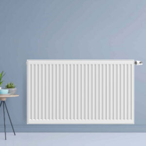 Radiator BWS Nolan 120x30 cm 1178W Type 22 Wit (Midden Aansluiting)